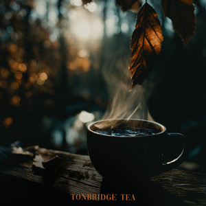 Tonbridge Tea by JS Casa