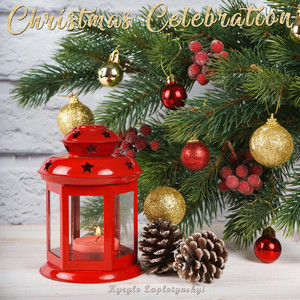 Kyrylo Zaplotynskyi — Christmas Celebration
