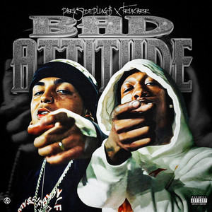 Bad Attitude by Parkside Plug$, TruCarr