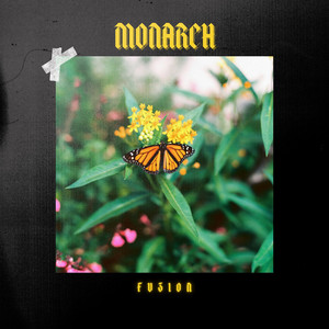 Monarch (Radio edit) by Fuzion