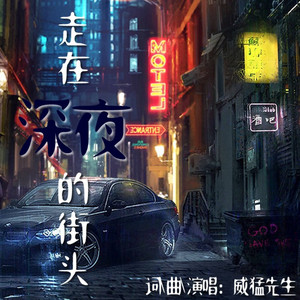 走在深夜的街头 by 威猛先生