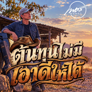 ต้นทุนไม่มีเอาดีให้ได้ by เพชร พฤษภา