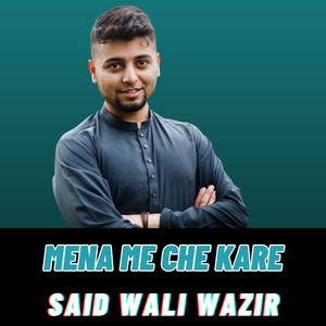 Said Wali Wazir - Mena Me Che Kare