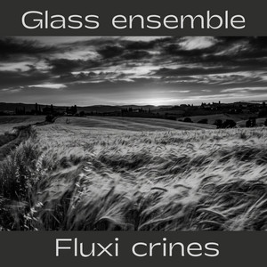 Fluxi crines by Glass Ensemble