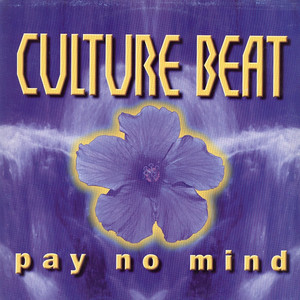 Pay No Mind - Original Radio Edit
