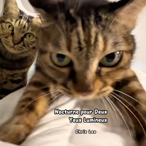 Sleep Beside the Purr by Chris Leo