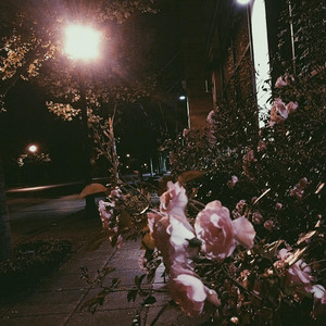 Stilvein - When the Time Comes