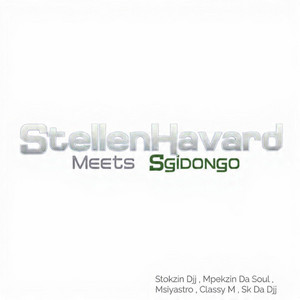 StellenHavard Meets SG