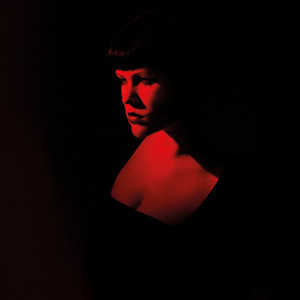 Details In The Dark by Subject Sue