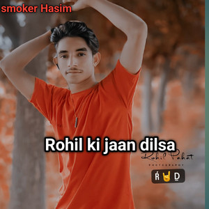 Rohil Ki Jaan Dilsa - Mewati