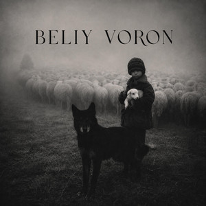 BELIY VORON by Enkel Murati