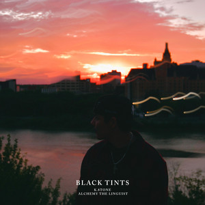 BLACK TINTS