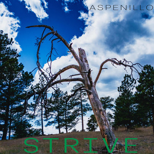 Strive by ASPENILLO