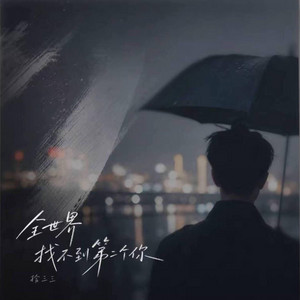 全世界找不到第二个你 ｜R&B 抖音歌 完整版｜- 拾三三 by Alex-听听音乐