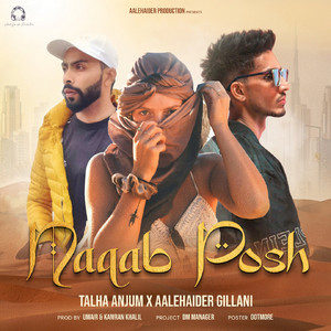Naqab Posh (feat. Talha Anjum) by Aalehaider Gillani, Talha Anjum