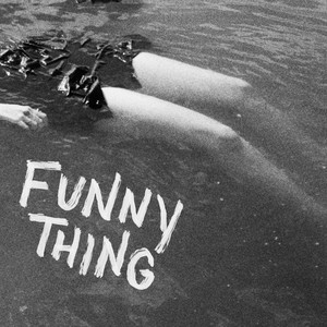 Funny Thing by Fishwife