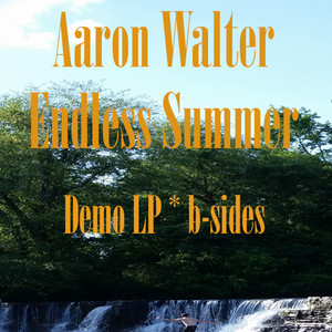 Endless Summer album
