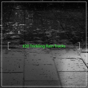 #20 Trickling Rain Tracks album