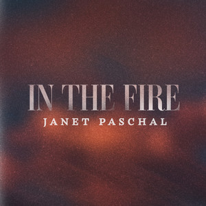 In The Fire album cover