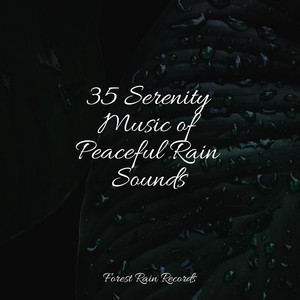 35 Serenity Music of Peaceful Rain Sounds album