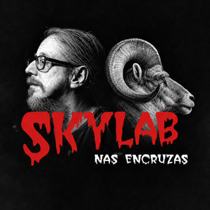 NINGUÉM by Rogério Skylab