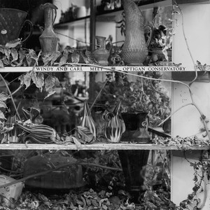Vellum Paper by Windy & Carl, Optigan Conservatory