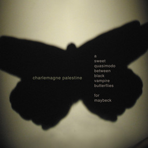 A Sweet Quasimodo Between Black Vampire Butterflies for Maybeck — Charlemagne Palestine