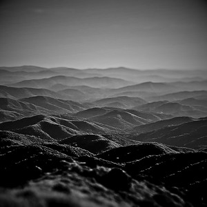 The Hills