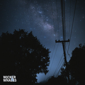 Star Shine by Wicker Whales