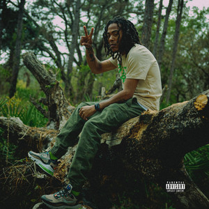 Cannabis Over Prescriptions 2: The Healing album