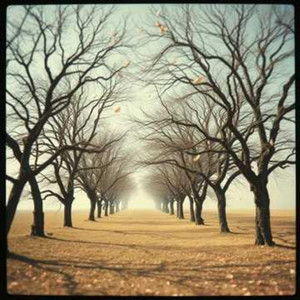 ذَنْبِي إِلَيْكَ غَرَامِي | محمود سامي البارودي by RaiNaWi BeLessan
