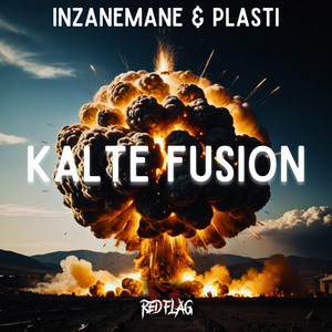 Kalte Fusion by Red Flag Music, Plasti, InzaneMane