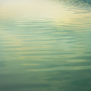 Calm Presence by Elior Fields