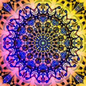 The Wealthy Mind by Ashtar Light
