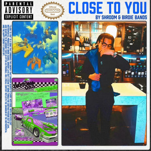 Close To You by Shroom, Birdie Bands