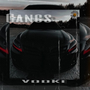 vodke - Gangs