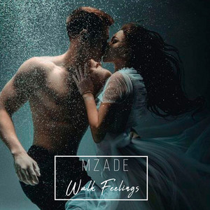 Mzade - Walk Feelings