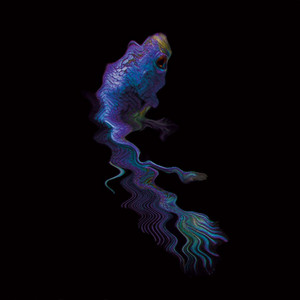 Illusionsnadel by Johan Brenn Album Cover