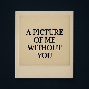 A Picture of Me Without You