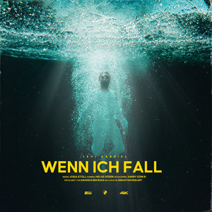 Wenn ich fall - Instrumental by Levi Gabriel