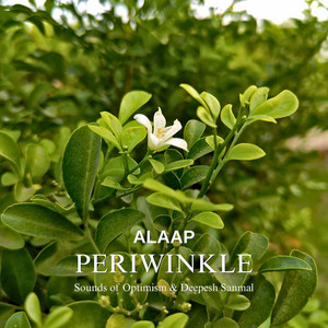 Periwinkle Alaap by Sounds of Optimism, Deepesh Sanmal