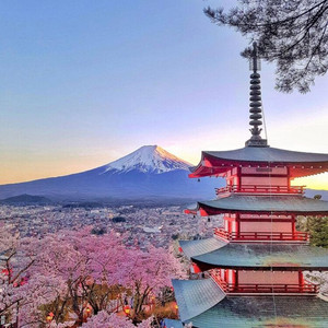 WhallexCore - Upwards