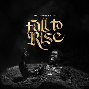 Fall to Rise