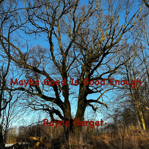Maybe Good Is Good Enough by Royne Berget, Jan Vidar Jensen