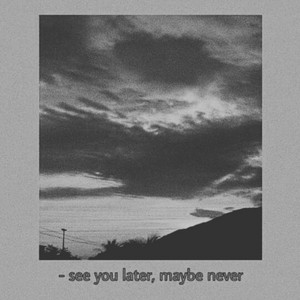 Portada de Maybe, Later Interlude.