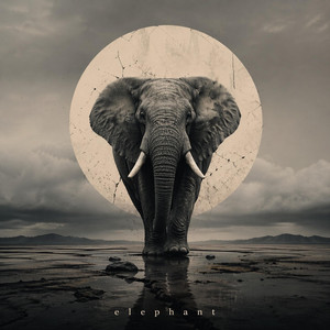 Elephant Hidara by Sophie Rosso