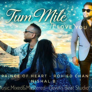 Nishal.B - tum mile/ i love you (feat. ROHIED CHAN)