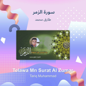 سورة الزمر by طارق محمد