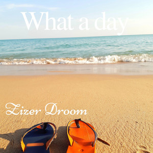 What a day by Zizer Droom
