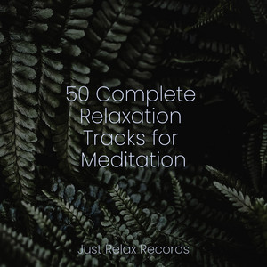 50 Complete Relaxation Tracks for Meditation